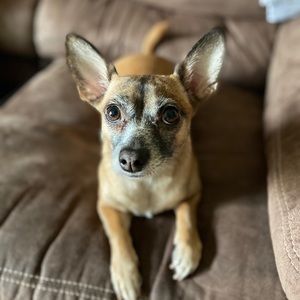 Meet your Posher, Lea